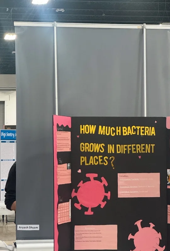 Bacteria